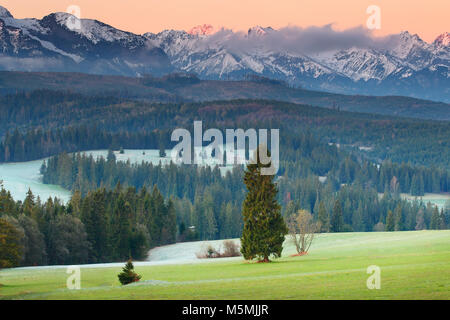 Vallée pittoresque de montagnes Tatra. Les arbres de Noël dans les rayons du soleil du matin. Les pics des montagnes commencer rougeoyer en couleur rouge. Peaceful Mounain colorés backgroun Banque D'Images