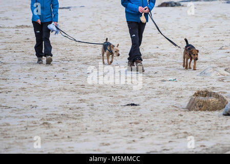 Les promeneurs de chiens sur la plage de Sennen à Cornwall. Banque D'Images