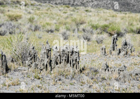 Tufas sable debout sur le lac Mono, marquant l'eau salée au cours des millénaires de récession à Lee Vining, Californie Banque D'Images