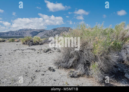 Tufas sable debout sur le lac Mono, marquant l'eau salée au cours des millénaires de récession à Lee Vining, Californie Banque D'Images