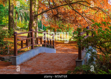 Jardin japonais avec pont en Arboretum dans journée d'automne ensoleillée, Sochi, Russie Banque D'Images