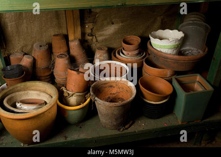 Vieux pots de plantation en terre cuite cachés sous tableau de l'abri de jardin Banque D'Images