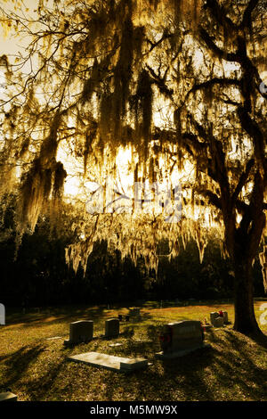 Cimetière historique Niveau rouge en Floride Banque D'Images