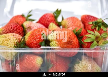 Close up près de ripe red strawberry dans la transparence en plastique pack, isolé sur fond blanc Banque D'Images