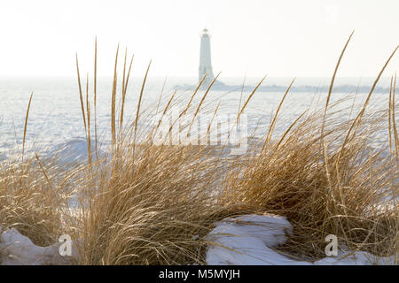 Frankfort, brise-lames Nord phare historique dans le brouillard par le biais de graminées sur les dunes, sur les rives du lac Michigan en hiver. Banque D'Images