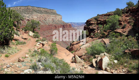 Le Parc National du Grand Canyon Sentier Hermit rouge Haut . Juste après la jonction avec la piste de Dripping Springs commencent les falaises rouges de la formation Supai, 1 400 pieds (427 m) au-dessous du rebord. Ici le sentier quitte le bassin de l'hermite et commence la descente dans les gorges de l'Ermite. Ce spot est d'environ 1,7 miles (2,7 km) de l'ermite de départ. Santa Maria Springs se trouve à 965 m (1 km) à partir de cette jonction, et de là, l'Ermite sentier continue en plus des 6 miles Banque D'Images