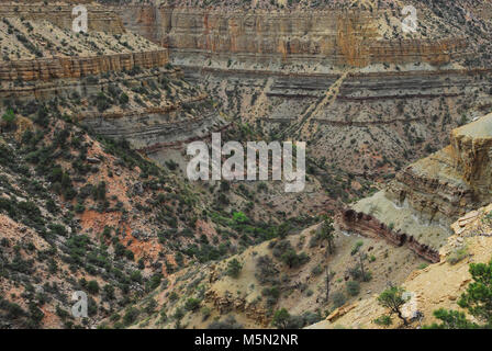 Le Parc National du Grand Canyon en Muav Bright Angel Canyon . Muav, comme on l'a vu allongé à trois anges, à la jonction de Manzanita et Bright Angel Canyons. Banque D'Images