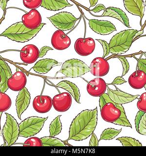 Cherry branch vector pattern sur backgrond blanc Illustration de Vecteur
