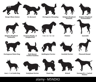 Vector set de chiens de races différentes silhouettes isolées en couleur noire sur fond blanc. Partie 6 Illustration de Vecteur