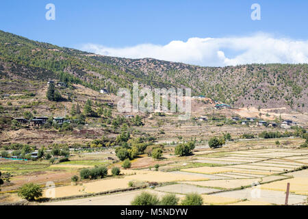 Thimphu, Bhoutan. Campagne entre Thimphu et Paro. Banque D'Images