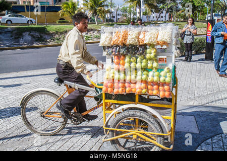 Cancun Mexique,Mexicain,Avenida Tulum,Hispanic man hommes,femme femmes,produit,fruit,fournisseur vendeurs stall stands stand marché, acheteur Banque D'Images