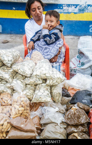 Cancun Mexique,Mexicain,Péninsule Yucatán,Quintana Roo,Mercado 23,Hispanic Latin Latino immigrants ethniques minorités,adultes femme femmes fe Banque D'Images