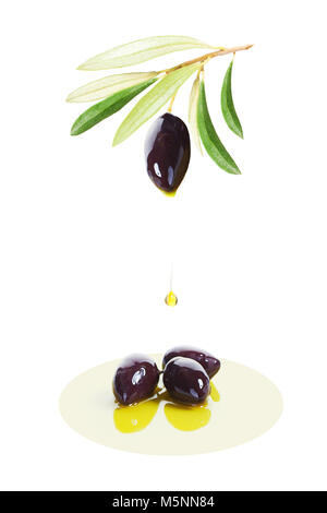 Fruit d'olive noire et de tomber goutte d'huile d'Olive Biologique sur fond blanc Banque D'Images
