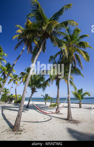 Turneffe Island Resort, Belize Barrier Reef Banque D'Images