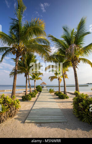 Turneffe Island Resort, Belize Barrier Reef Banque D'Images