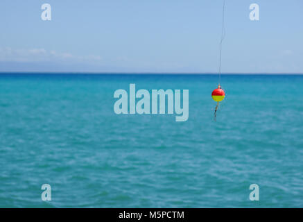 Matin, la pêche sur la rivière. Pêche à flotter dans le lac entre les feuilles de nénuphar. Attaquer avec un flotteur de pêche à la ligne Banque D'Images