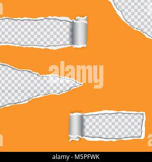 Vecteur illustration réaliste d'orange papier déchiré avec bord roulé sur fond transparent avec cadre pour le texte Illustration de Vecteur