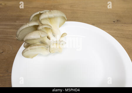 Pleurote (Pleurotus ostreatus) en plaque blanche sur fond de bois Banque D'Images