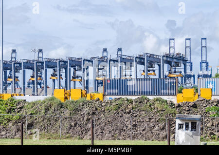La ville de Panama, Panama - 3 novembre, 2017 : des grues et des conteneurs dans un port de Balboa, le port côté Pacifique du canal de Panama. Banque D'Images