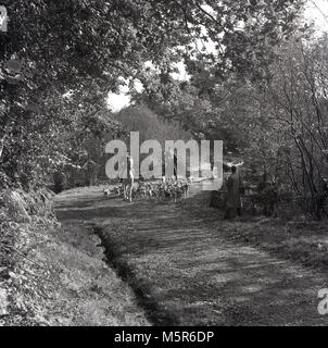 Années 1950, historiques, deux hommes chasseurs à courre équitation le long d'une campagne bordée d'lane, England, UK. Banque D'Images