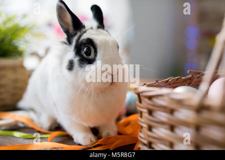 Portrait de petit lapin adorable posant à côté du panier de Pâques sur table décorée, copy space Banque D'Images
