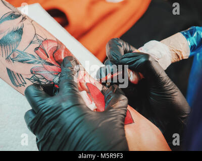 Tatoueur au travail. Woman in Black tatouage gants en latex d'un jeune homme à la main avec image colorée en studio. Close up. Banque D'Images