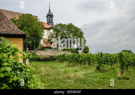 La Franconie est une région de vin de qualité en Allemagne, dans le nord-ouest de la Bavière, dans le district de Haute-Franconie. C'est la seule région du vin en Bavière. Banque D'Images