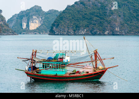 Filet de pêche du calmar flottant sur un grand radeau dans la baie  d'Halong, Vietnam Photo Stock - Alamy