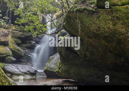 Cascades naturelles dans le comté de Franklin, Tennessee. Banque D'Images