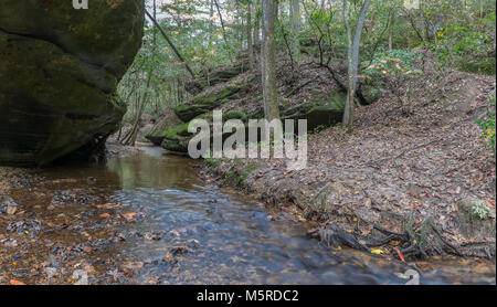 Un ruisseau serpente à travers Dismals Canyon dans le comté de Franklin, Tennessee. Banque D'Images