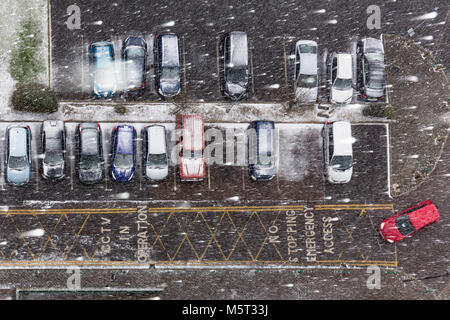 Londres, Royaume-Uni. Feb 26, 2018. Météo France : Blizzard de neige dans un parc automobile du sud-est de Londres au cours de la récente baisse de la température de congélation surnommé 'la bête de l'Est' réunissant les conditions de l'Arctique à la ville. Des températures de -5 °C ont été enregistrées pendant la nuit dans certaines zones rurales, le plus froid de marquage avant mars sort depuis 1986. Crédit : Guy Josse/Alamy Live News Banque D'Images