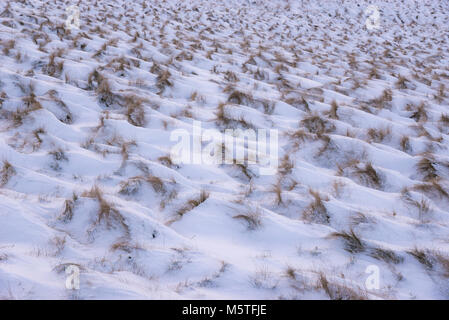 Matin d'hiver enneigé dans les collines du Peak District. Schéma de la neige sur les buttes d'moorland herbe à Hayfield, Derbyshire, Angleterre. Banque D'Images