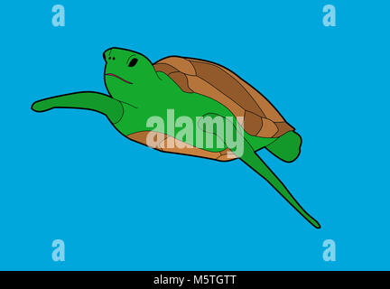 Cute Cartoon Illustration Tortue Banque D'Images