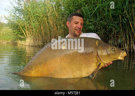 Pêche à la carpe. lucky fisherman holding une carpe miroir géant Banque D'Images