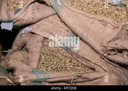 Un gros sacs de grains de café brut, grain de café le tri et le traitement dans une usine Banque D'Images