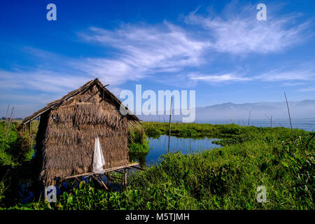 Piscine jardins sont mis en place sur le lac Inle pour faire pousser des tomates et autres légumes, la hutte est utilisé pour le stockage d'outils sur le lac Inle Banque D'Images