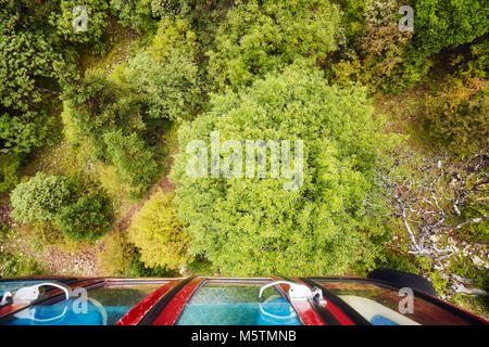 Regardant vers le bas sur une forêt de téléphérique. Banque D'Images