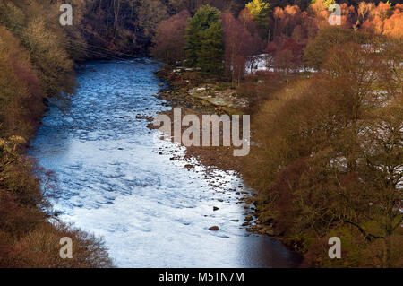 Vue sur le Viaduc de South Tyne Lambley, le Sentier South Tyne, Northumberland / Cumberland Banque D'Images