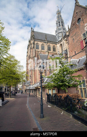 Église Saint-bavon dans le centre de Haarlem - Pays Bas Banque D'Images