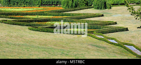 Boîte d'été en buis evergreen park hillside. Composition de plantes sur une pelouse verte. Parc Sofiyivka dendrologie, Uman, Ukraine. Banque D'Images