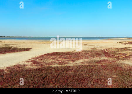 Les routes sales dans Ustrychne entre Prairie Oyster lake (lac) et la mer d'Azov, et camping au loin (Lazurne, région de Kherson, Ukraine) Banque D'Images