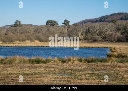 La société,Royal,Protection,de, les oiseaux, RSPB,la nature,réserver,Ynys Hir,,Ynys Hir, Ynys-Hir,Ceredigion,de,Aberystwyth,Ouest,Pays de Galles,U.K.UK,Europe,Europe, Banque D'Images