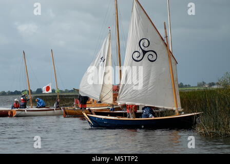 La voile bateaux amarrés dans les roseaux sur les rives de la rivière Shannon en Irlande. Banque D'Images