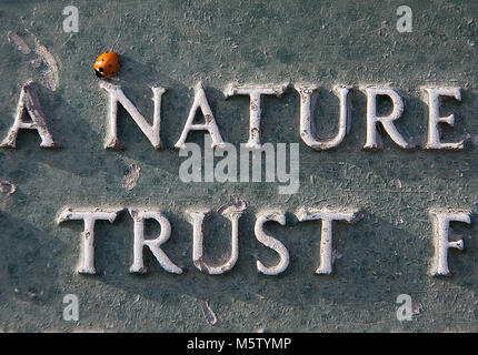 Spot ladybird sur six a cast iron sign reading 'nature' et 'trust', au sud de la réserve naturelle de Swale, Kent, Royaume-Uni.. Banque D'Images