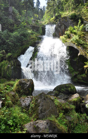 Cascades avec rochers et mousses en premier plan dans la forêt. Chutes d'eau de Triberg, Forêt Noire, Allemagne Banque D'Images