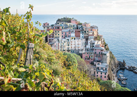Vignes et village de Manarola dans le Parc National des Cinque Terre, ligurie, italie Banque D'Images