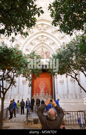 Entrée latérale de la cathédrale de Séville vu à travers d'orangers, Espagne Banque D'Images