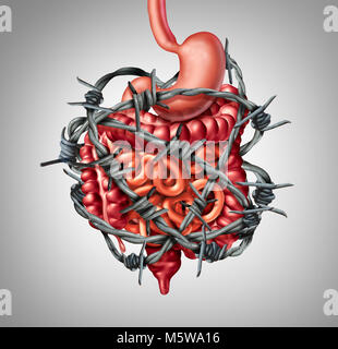 La digestion douloureux de l'intestin irritable ou de l'IBS et de l'intestin la douleur ou inconfort intestinal inflammation problème ou constipation comme du fil de fer barbelé. Banque D'Images