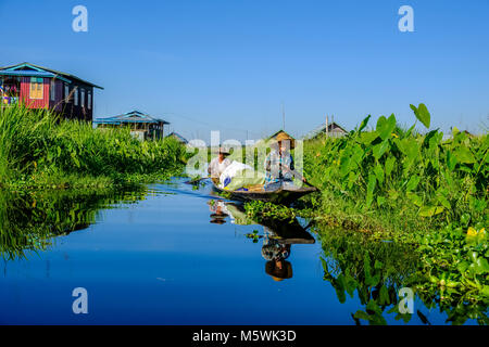 Une femme est au volant de son embarcation sur un petit canal à travers les jardins de natation dans le village d'Haspres Thauk sur le lac Inle Banque D'Images