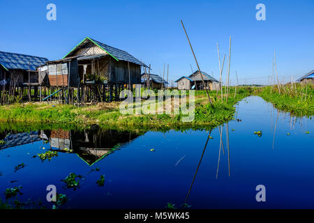 Les maisons de pêcheurs sont construites sur pilotis entre la piscine jardins dans le village de Haspres Thauk sur le lac Inle Banque D'Images